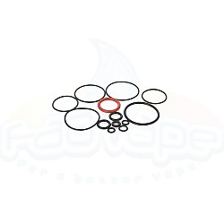Tilemahos Armed Eagle 25mm - Set of replacement o-rings