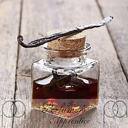 TPA - Madagascar Bourbon Vanilla 10ml