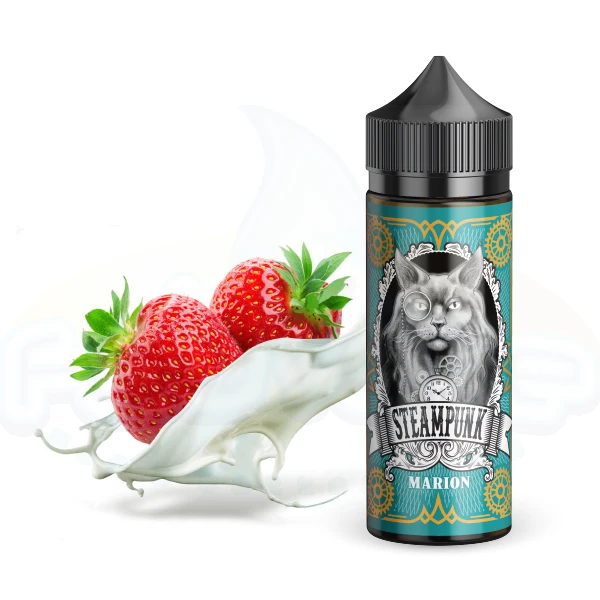SteamPunk - Flavor Shots Marion