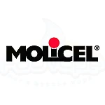 Battery Molicel INR-21700-P45B - 4500mAh