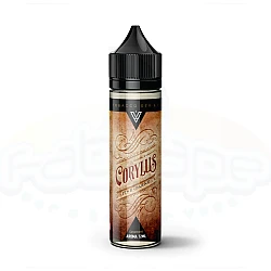 VnV Liquids Flavor Shot Corylus 12/60ML