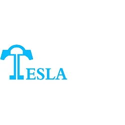 Tesla Mod's